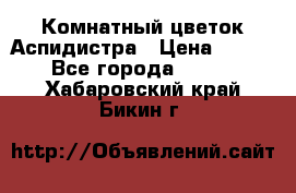 Комнатный цветок Аспидистра › Цена ­ 150 - Все города  »    . Хабаровский край,Бикин г.